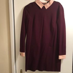 Cynthia Steffe long-sleeve collared shift dress